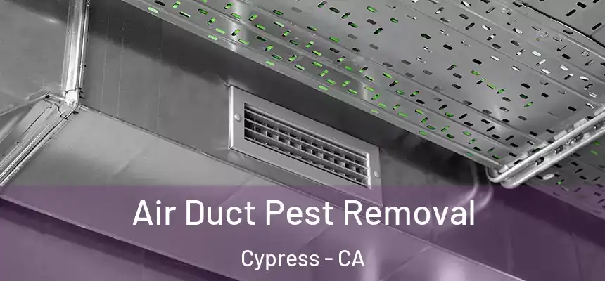 Air Duct Pest Removal Cypress - CA
