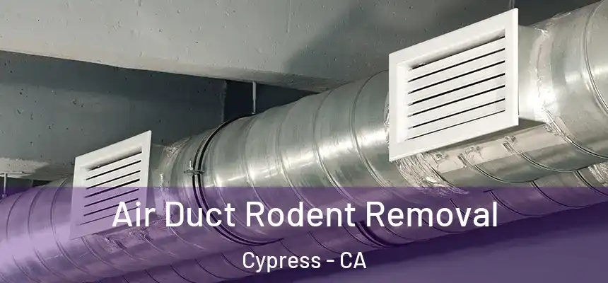Air Duct Rodent Removal Cypress - CA