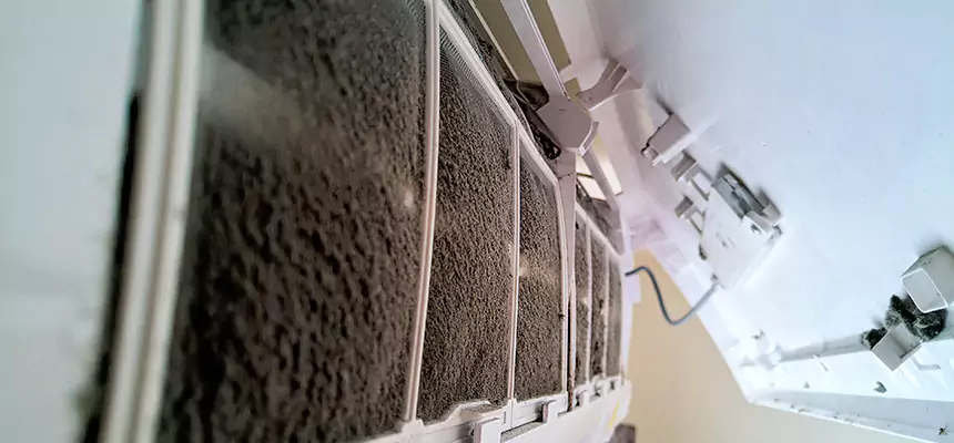 Preventive Air Duct Bacteria Removal in Cypress