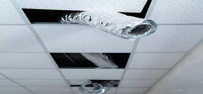 Our Air Duct Pet Hair Removal Services in Cypress, CA