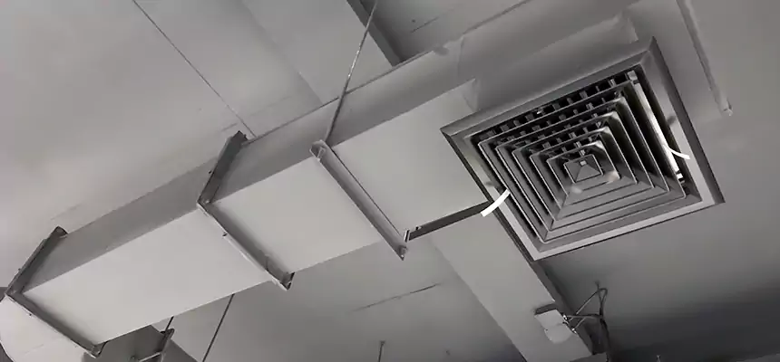 Our Pest Removal From Ducts Services in Cypress, CA