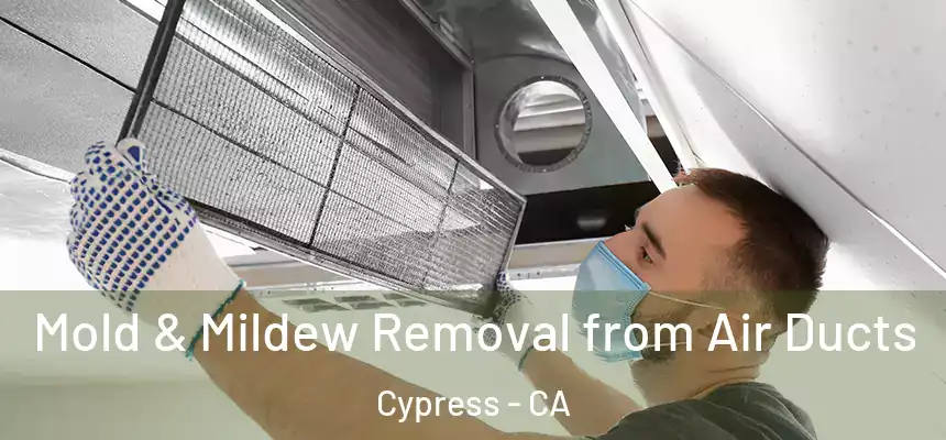 Mold & Mildew Removal from Air Ducts Cypress - CA