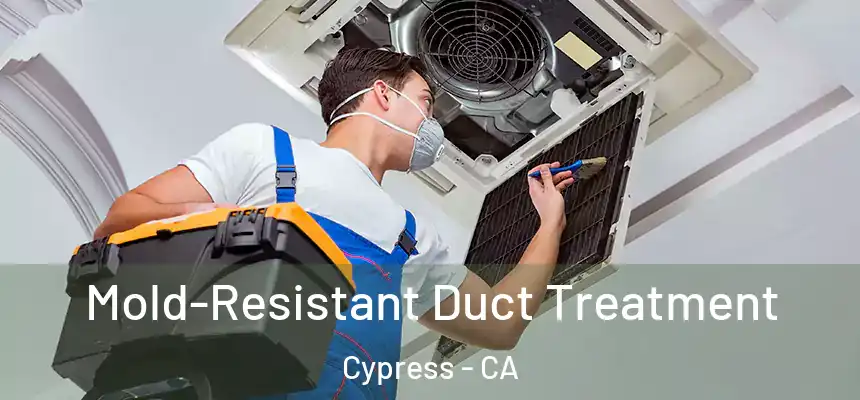 Mold-Resistant Duct Treatment Cypress - CA