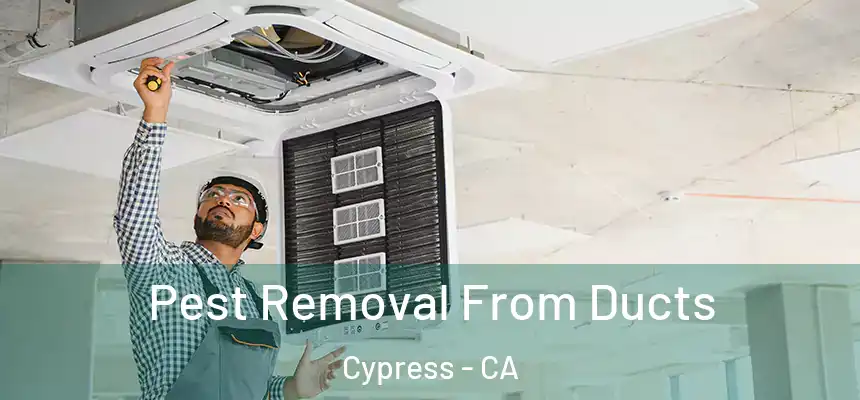  Pest Removal From Ducts Cypress - CA