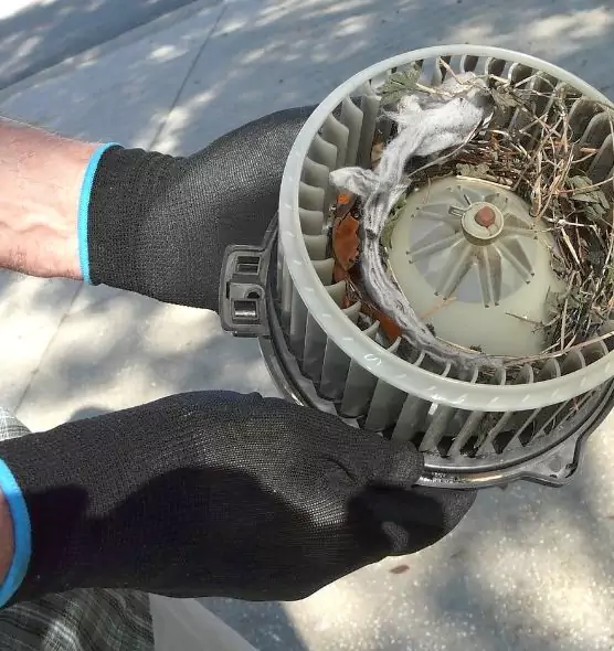 About Air Duct Rat Removal in Cypress, CA