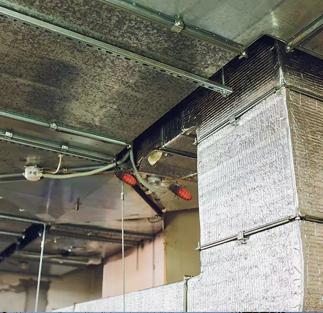 Why Homeowners & Businesses Trust Us in Cypress, CA?