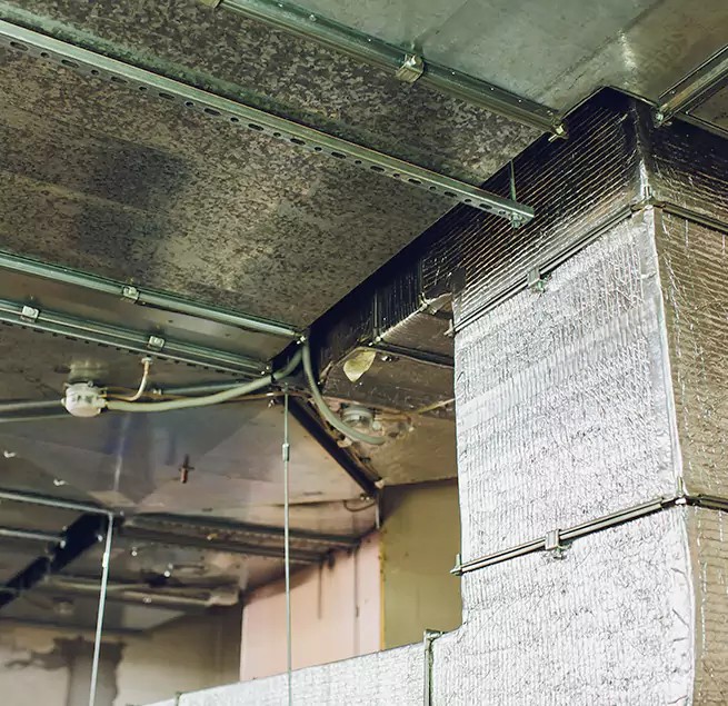 Why Homeowners & Businesses Trust Us in Cypress, CA?